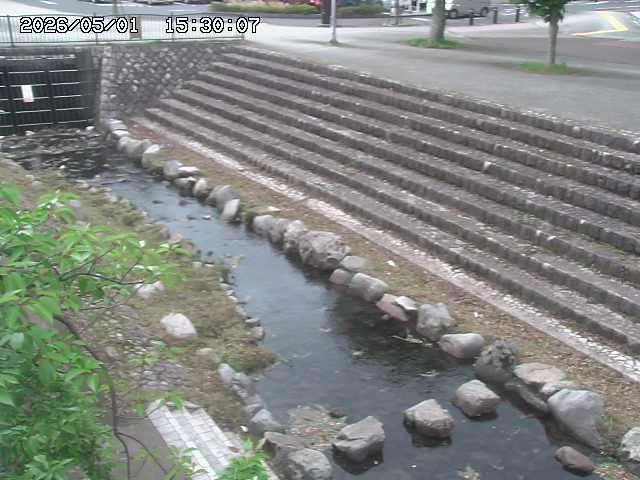 山白川１2026/05/01 16:50