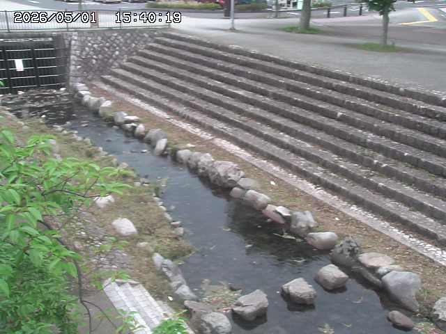 山白川１2026/05/01 16:50