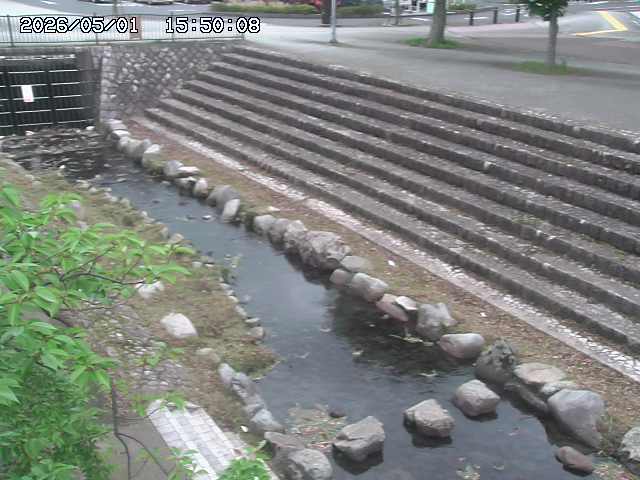山白川１2026/05/01 16:50