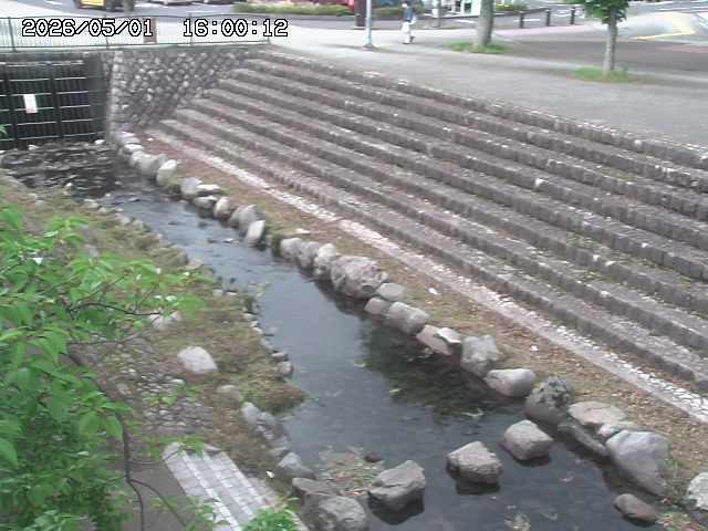 山白川１2026/05/01 16:50