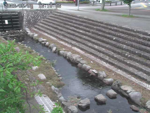 山白川１2026/05/01 16:50