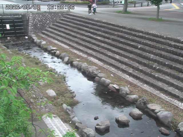 山白川１2026/05/01 16:50