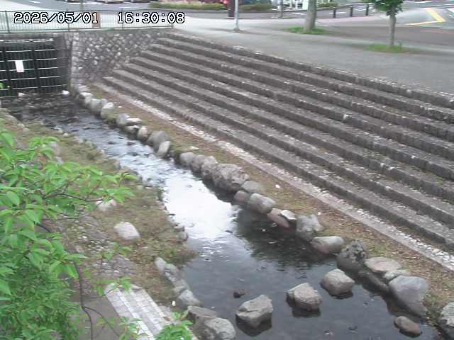 山白川１2026/05/01 16:50
