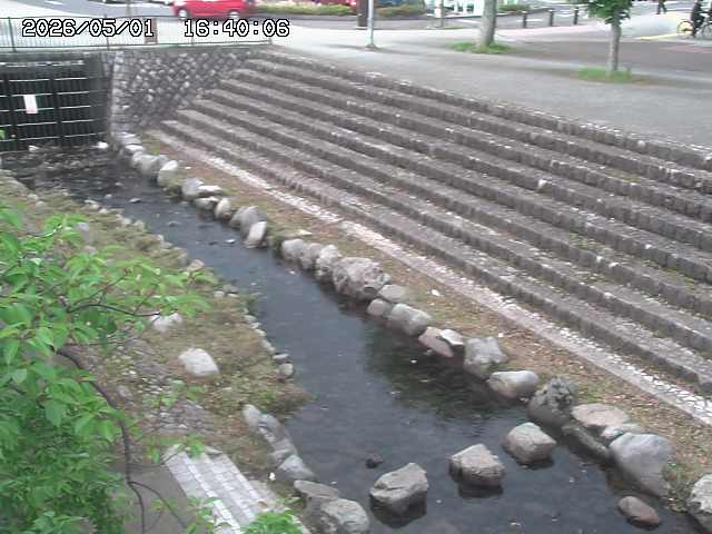 山白川１2026/05/01 16:50