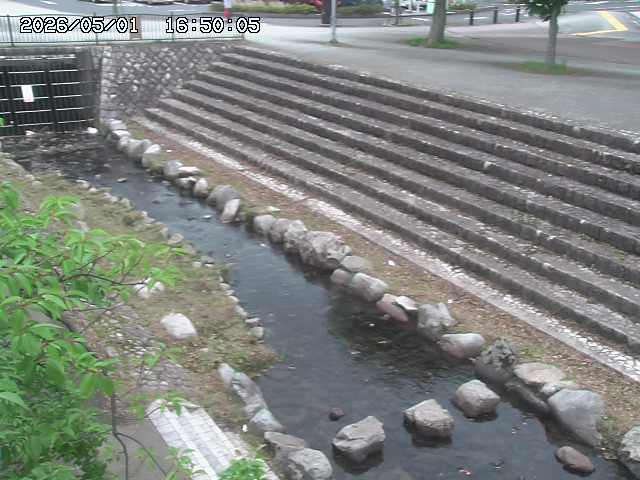 山白川１2026/05/01 16:50