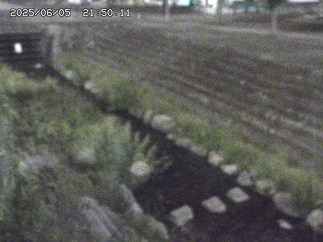 山白川１2025/06/06 01:00