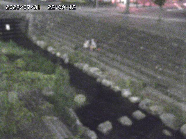山白川１2026/08/01 20:40