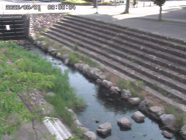 山白川１2026/08/01 20:40