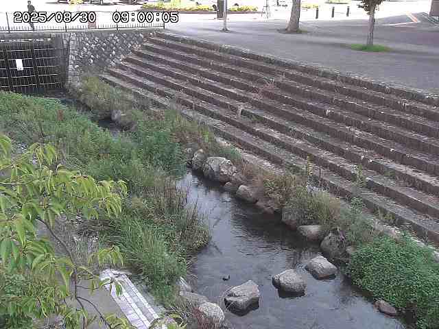 山白川１2025/08/31 09:00
