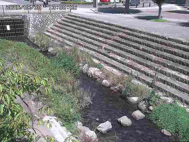 山白川１2025/08/31 09:00