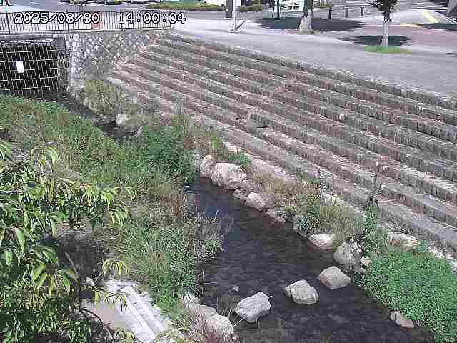 山白川１2025/08/31 09:00