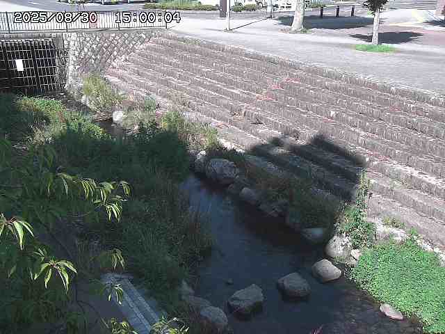 山白川１2025/08/31 09:00