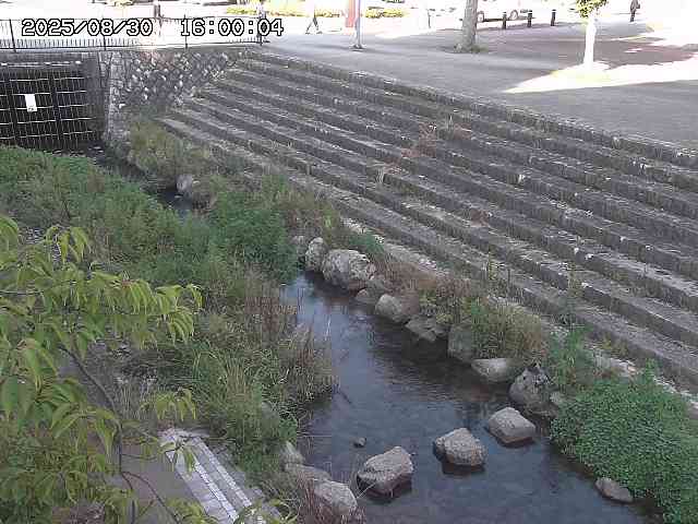 山白川１2025/08/31 09:00