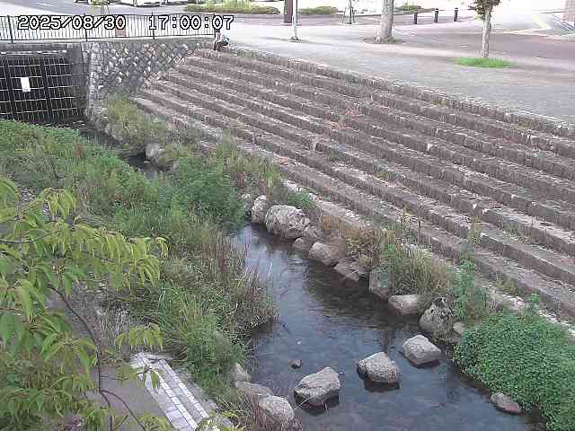 山白川１2025/08/31 09:00