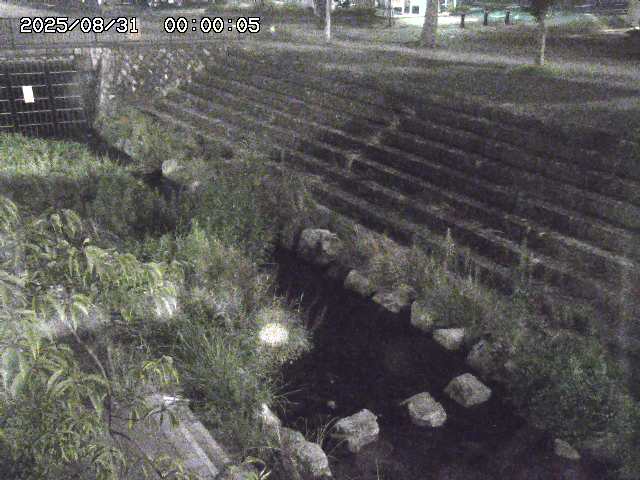 山白川１2025/08/31 09:00