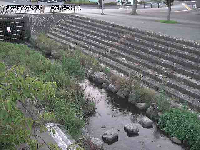 山白川１2025/08/31 09:00