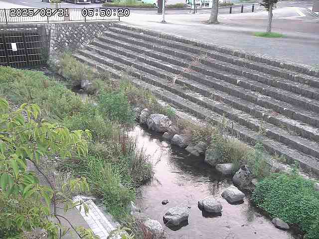 山白川１2025/08/31 09:00