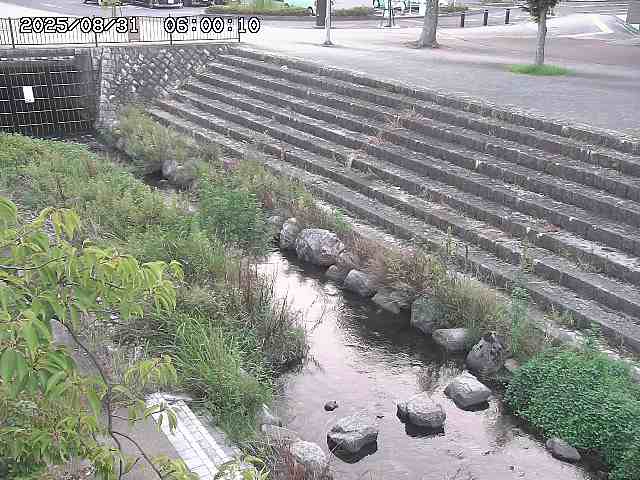 山白川１2025/08/31 09:00