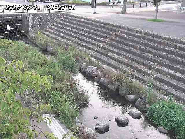 山白川１2025/08/31 09:00