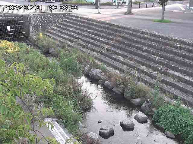 山白川１2025/08/31 09:00