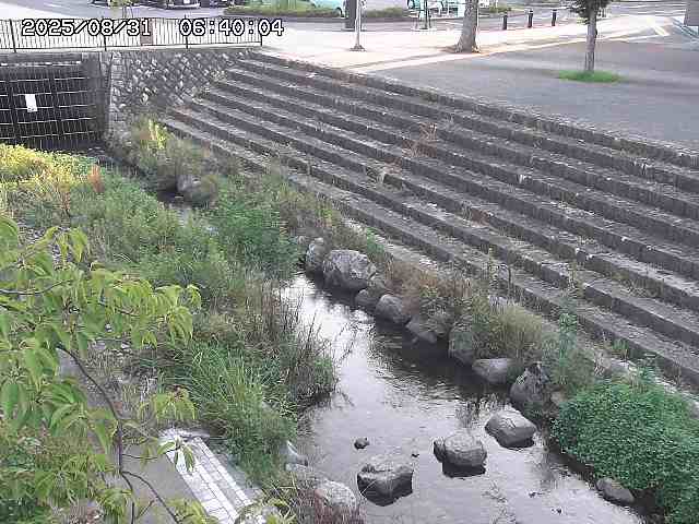 山白川１2025/08/31 09:00