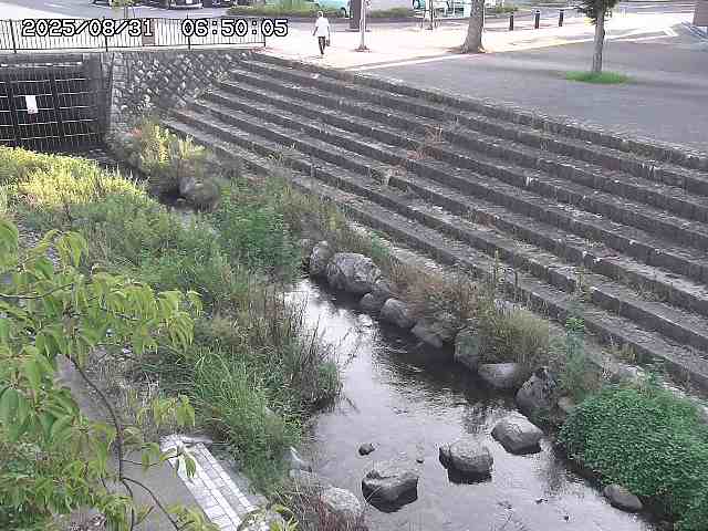 山白川１2025/08/31 09:00
