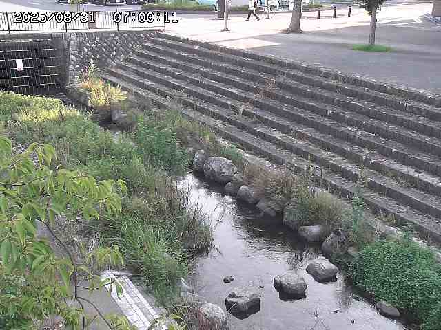 山白川１2025/08/31 09:00