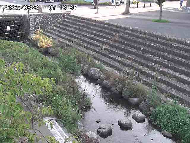 山白川１2025/08/31 09:00