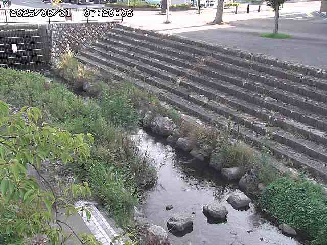 山白川１2025/08/31 09:00