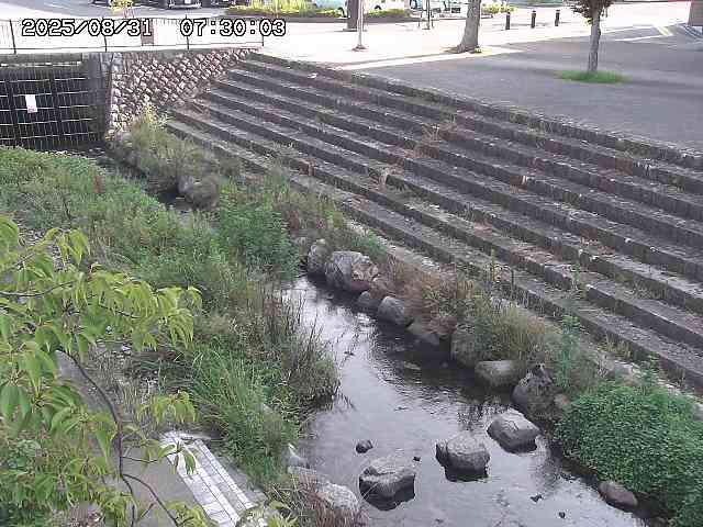 山白川１2025/08/31 09:00