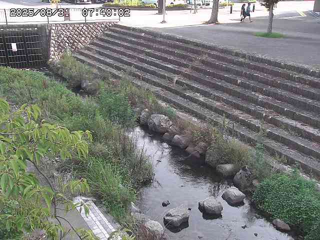 山白川１2025/08/31 09:00