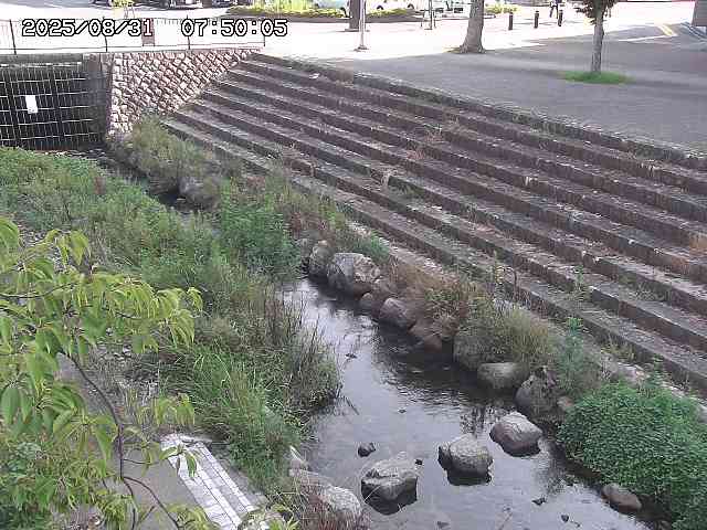 山白川１2025/08/31 09:00