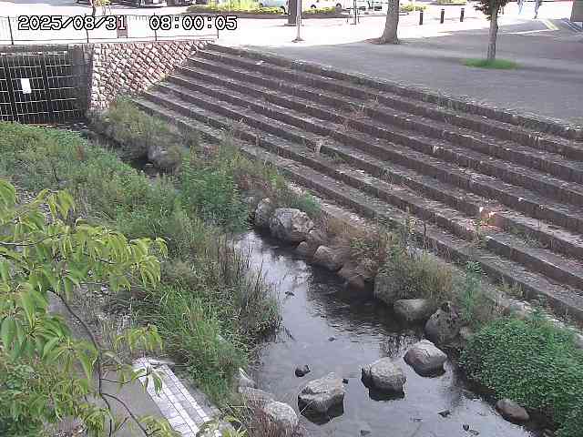 山白川１2025/08/31 09:00