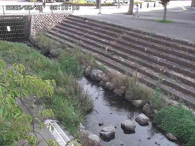 山白川１2025/08/31 09:00
