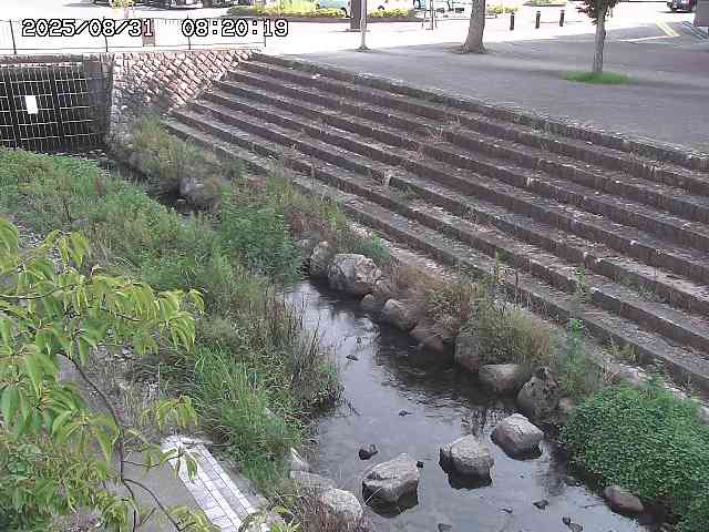 山白川１2025/08/31 09:00