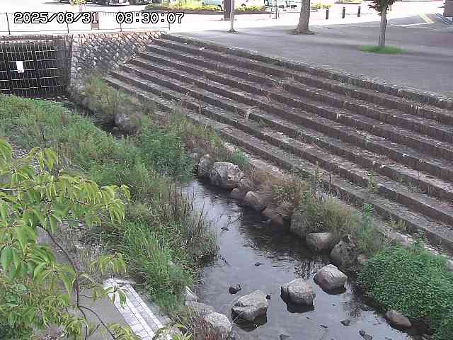 山白川１2025/08/31 09:00