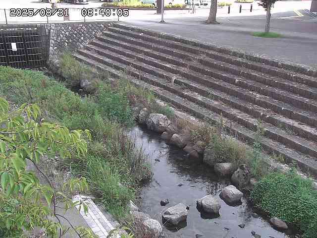 山白川１2025/08/31 09:00