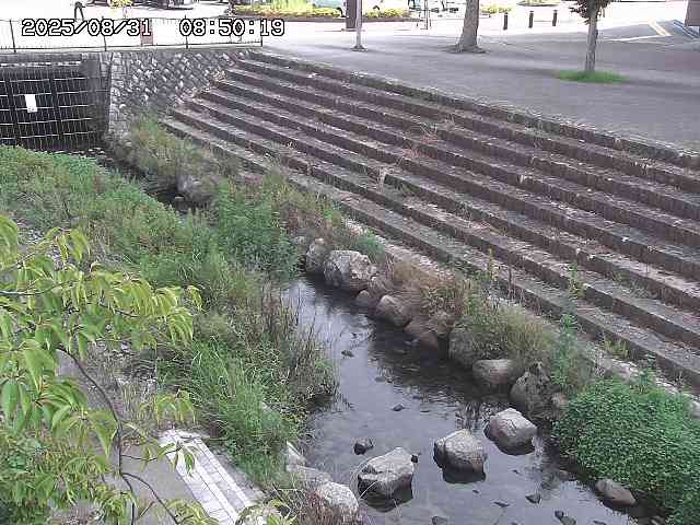 山白川１2025/08/31 09:00