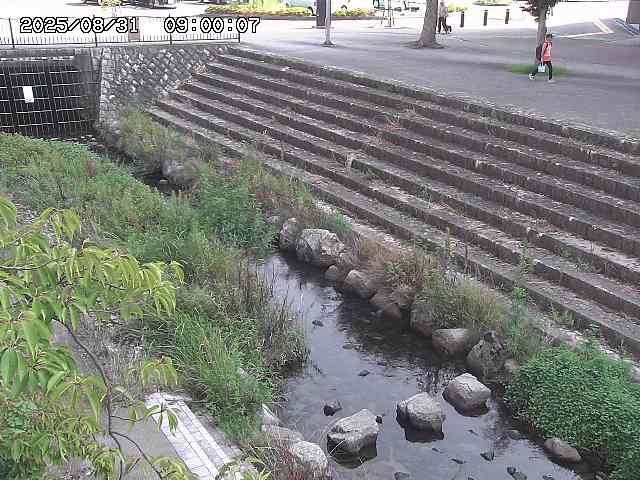 山白川１2025/08/31 09:00