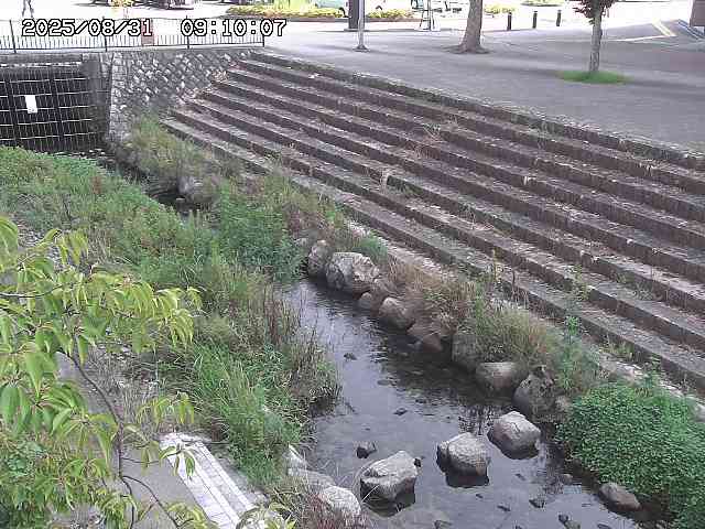 山白川１2025/08/31 09:00