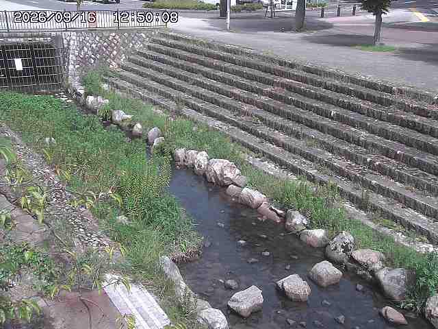 山白川１2026/09/16 16:30