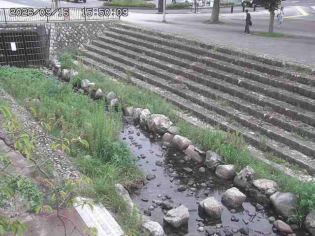 山白川１2026/09/16 16:30