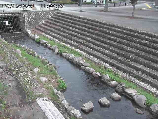 山白川１2025/10/22 11:20