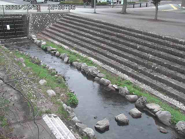 山白川１2025/10/22 11:20