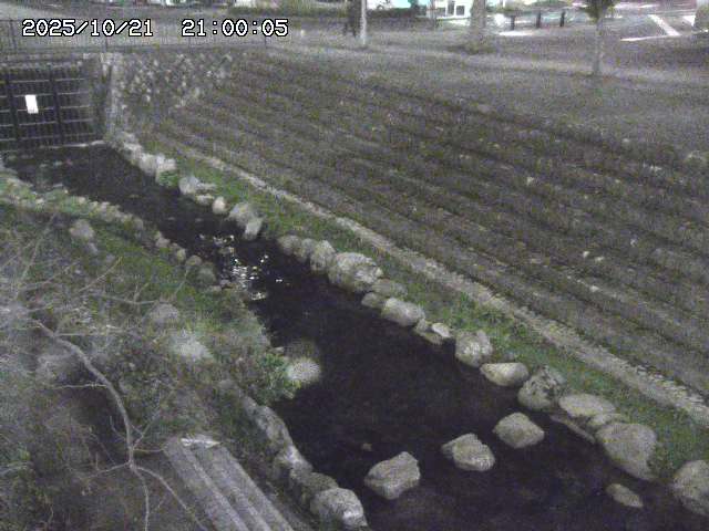 山白川１2025/10/22 11:20