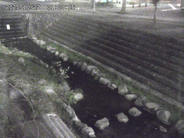 山白川１2025/10/22 11:20