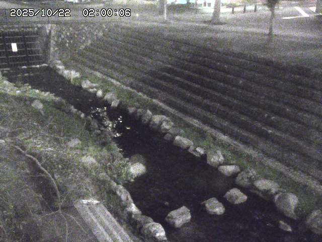 山白川１2025/10/22 11:20