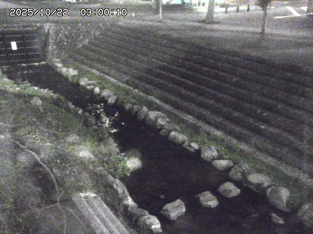 山白川１2025/10/22 11:20