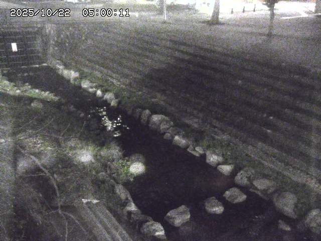 山白川１2025/10/22 11:20