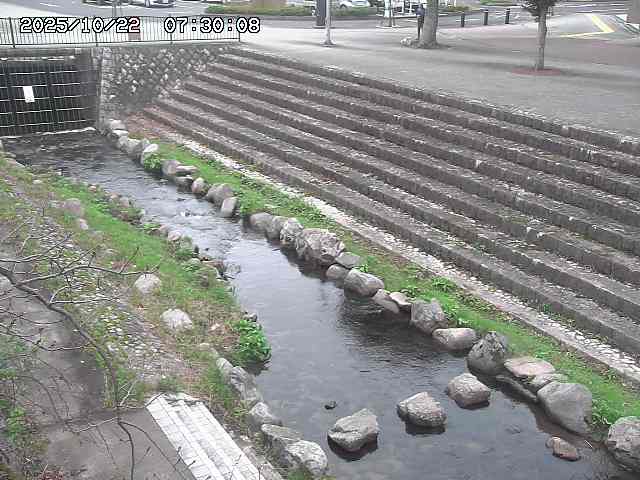 山白川１2025/10/22 11:20